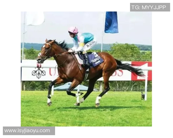 飞马与风暴的激烈对决结果揭晓谁将成为最终的胜者 飞马与风暴的激烈对决结果揭晓谁将成为最终的胜者