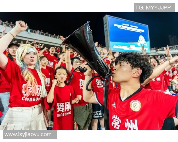 魔球狂潮：足球赛事的魅力